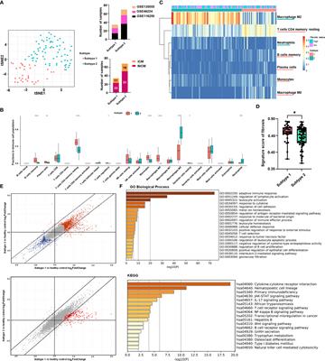 Subtyping based on immune cell fractions reveal heterogeneity of cardiac fibrosis in end-stage heart failure